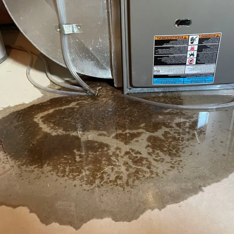 Pipe Burst and Leak Restoration in Greenfield, IN