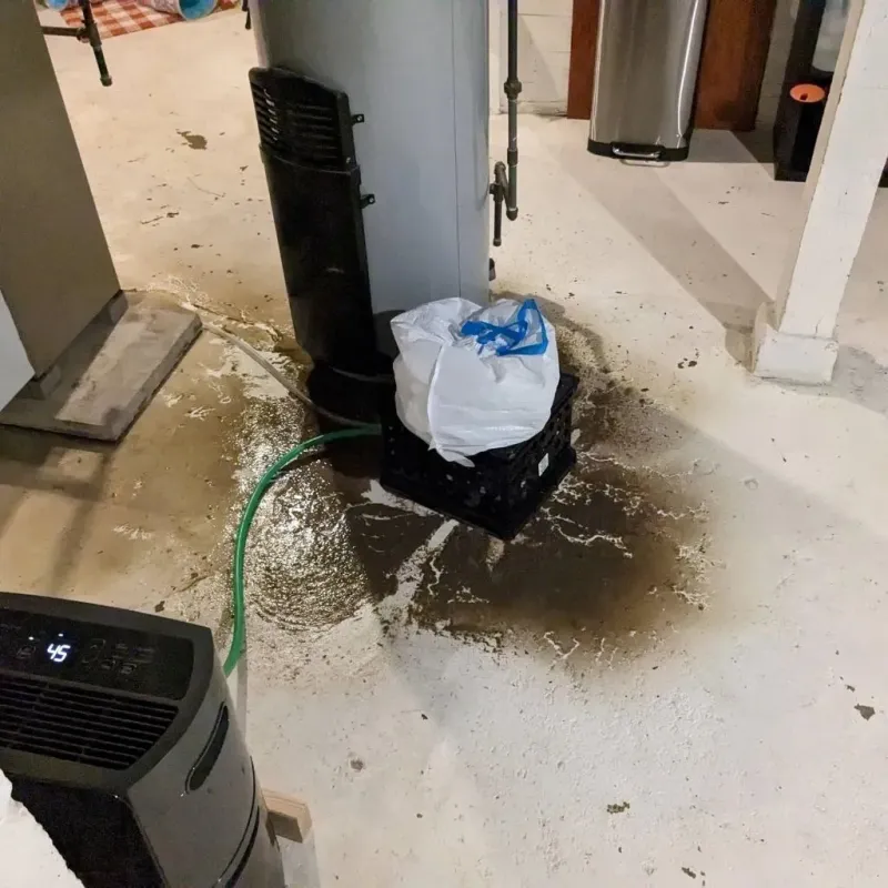 Sewage Backup Cleanup Service in Greenfield, IN